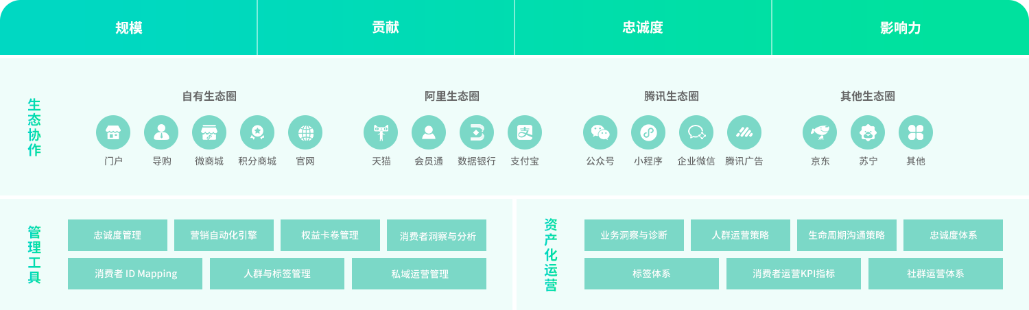 消費者生命周期管理